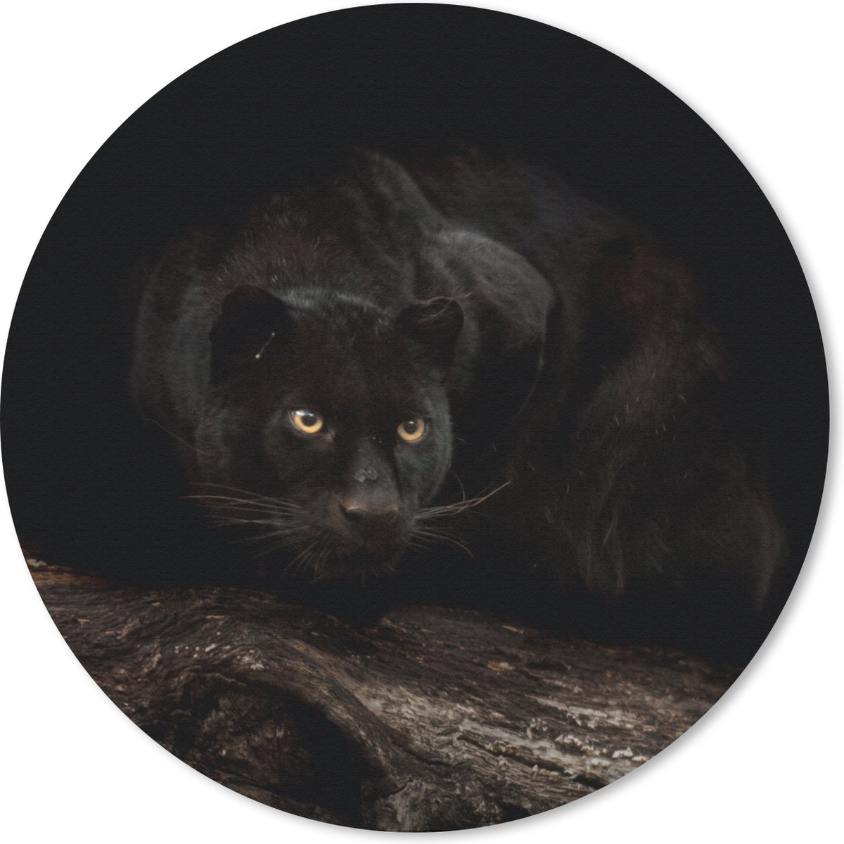 Muismat rond 50x50 cm - Mousepad Panter - Bos - Ogen - Ronde muismatten