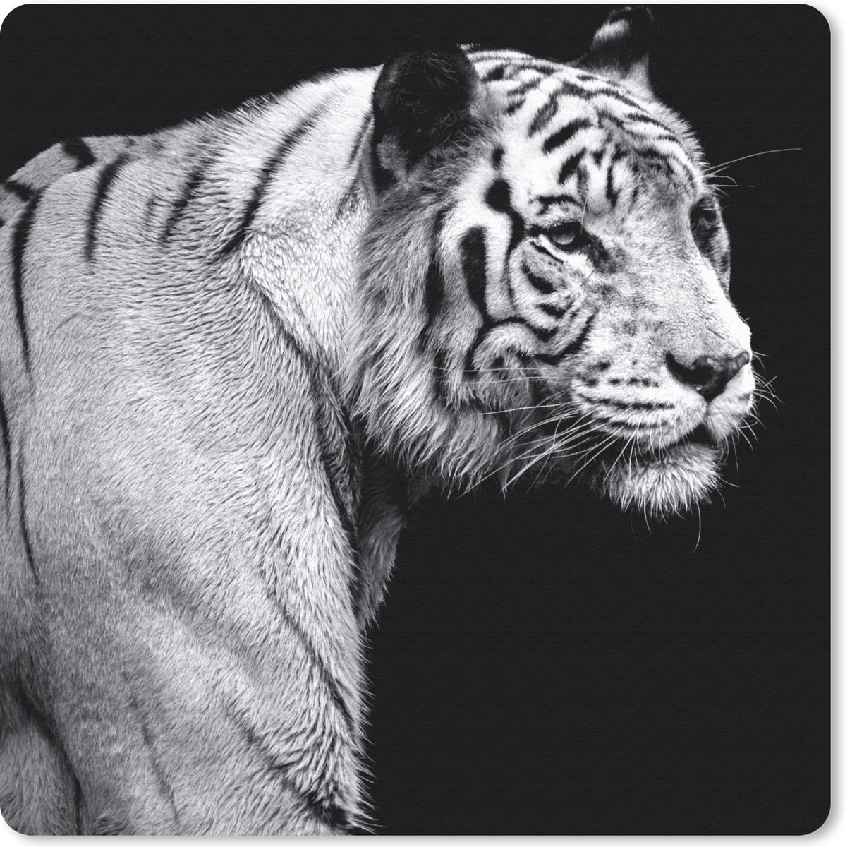 Muismat 30x30 cm - Mousepad Tijger - Wilde dieren - Licht - Muismatten