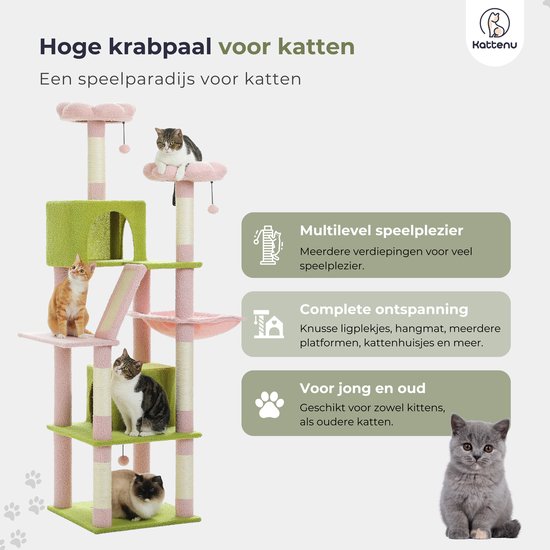Hoge krabpaal met roze en groene platformen, huisjes, hangmand en krabpalen. Een oranje kat, een gestreepte kat en een bicolore kat zitten op de krabpaal. Een grijze kat staat ernaast.