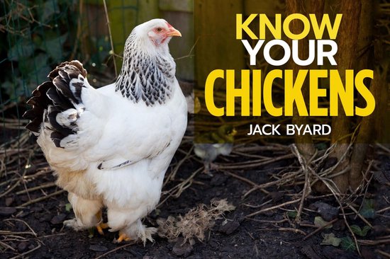 Know Your Chickens - cover
