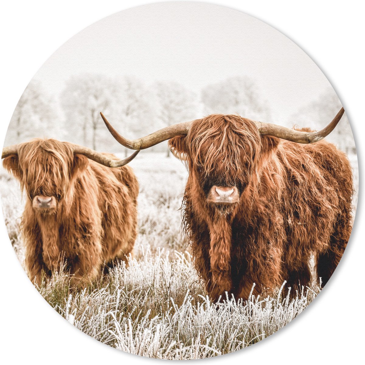 Muismat rond 20x20 cm - Mousepad Schotse hooglander - Koe - Dieren - Ronde muismatten