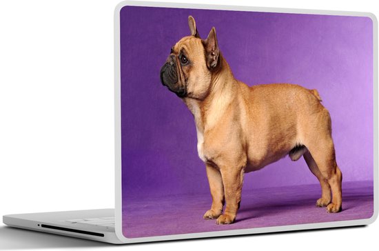 Sticker pour ordinateur portable - 10,1 pouces - Bouledogue français avec un fond violet