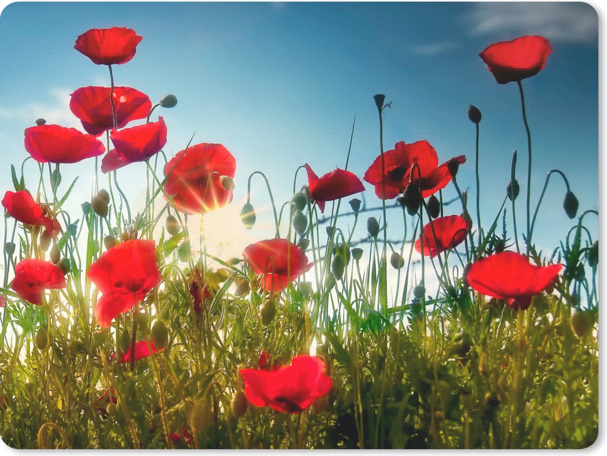 Muismat 23x19 cm - Mousepad Klaprozen - Toscane - Zon - Rood - Blauw - Muismatten