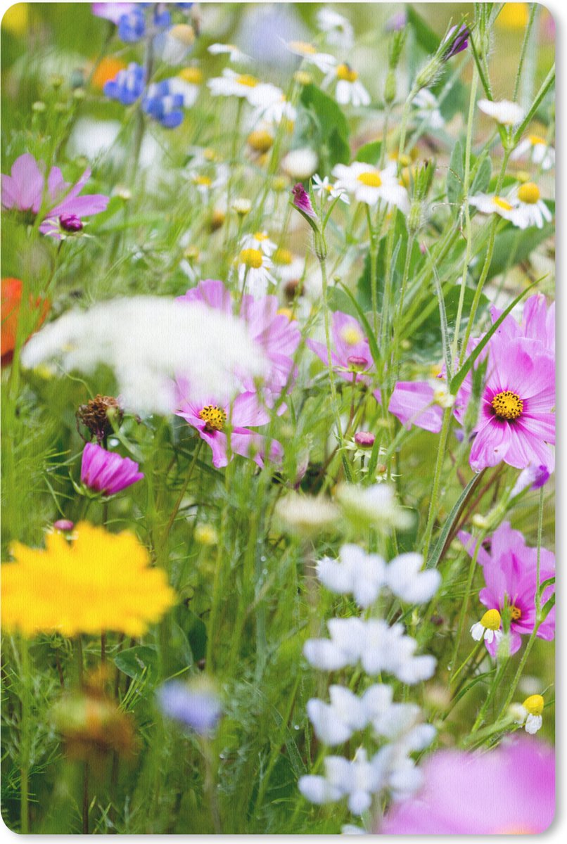 Muismat 18x27 cm - Mousepad Bloemen - Natuur - Groen - Gras - Paars - Wit - Muismatten