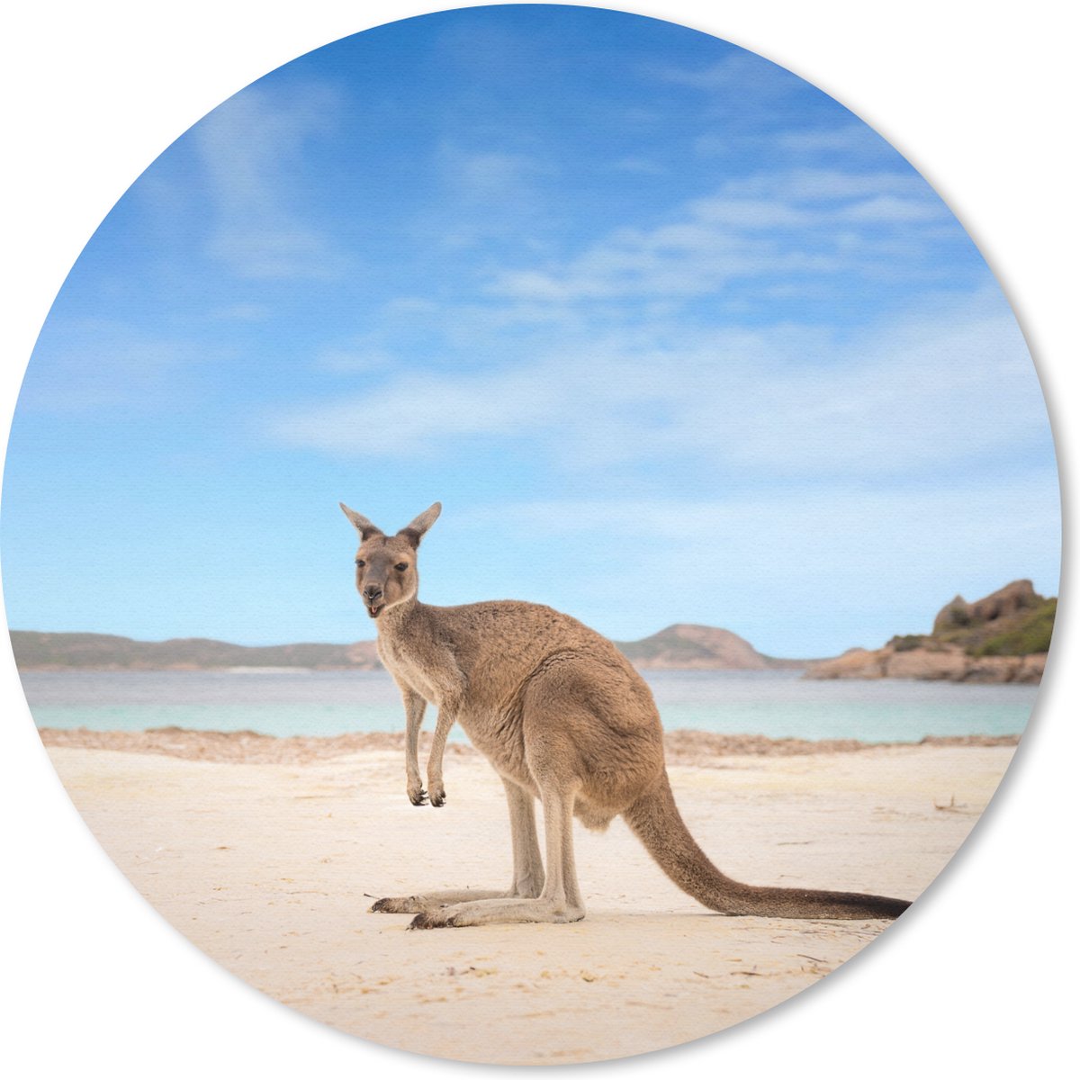 Muismat rond 20x20 cm - Mousepad Strand - Kangoeroe - Australië - Ronde muismatten