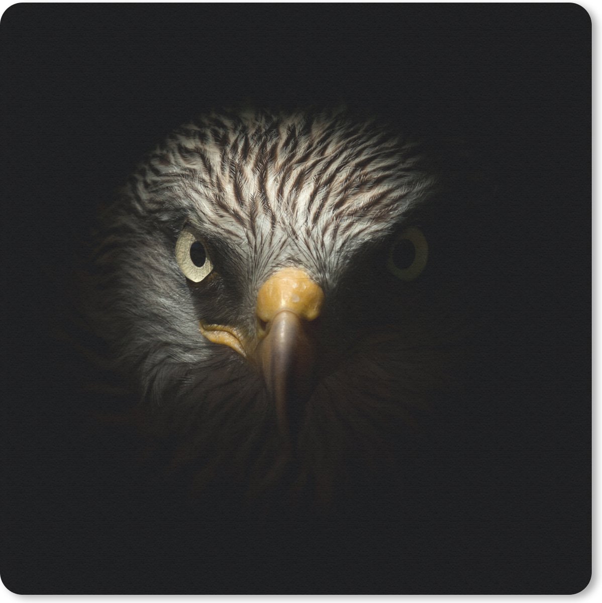 Muismat 20x20 cm - Mousepad Vogel - Adelaar - Roofvogels - Oog - Snavel - Licht - Muismatten