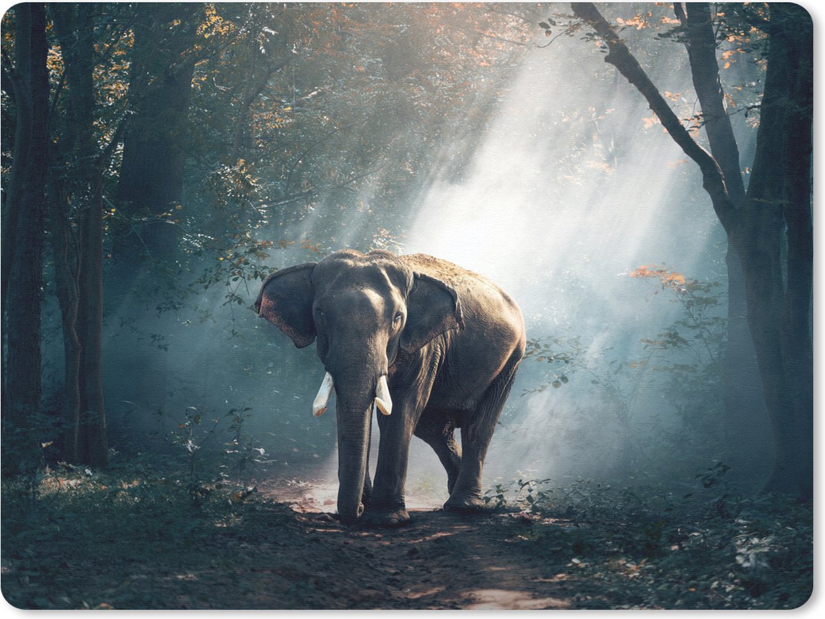 Muismat 23x19 cm - Mousepad Olifant - Dieren - Licht - Bos - Natuur - Wilde dieren - Muismatten