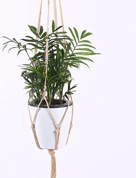 10 Stuks Plantenhouders Voor De Tuin - Metalen Plantensteunen Met Clips Voor Hortensia S Orchideeen En Amaryllis
