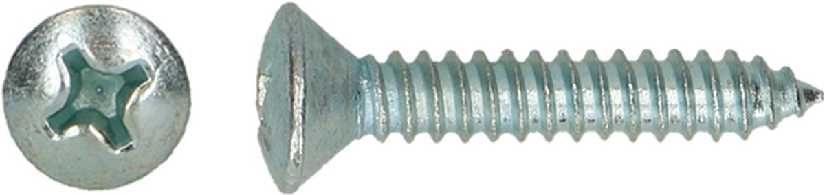 Parkerschroef DIN 7983C-H Ø2,90x19 Zn x 100stuks