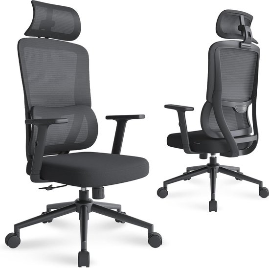 Eucladoceros Ergonomische stoel - Bureaustoel met hoge rugleuning en verstelbare lendensteun, 2D-hoofdsteun en armleuning - 113° Schommelgaas Executive bureaustoel, bureaustoel, grijs