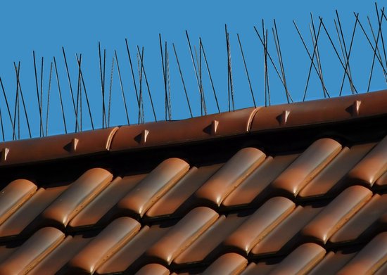 Épingles à pigeons - Acier 300 cm - Pointes anti-pigeons - Épingles à mouettes anti-oiseaux