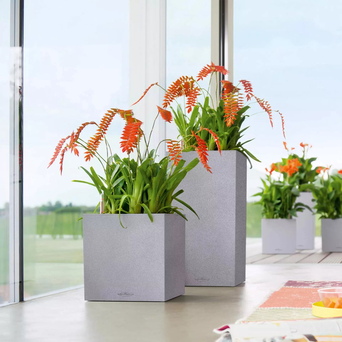 Lechuza Canto Stone 30 high - Planter - with removable inner pot
