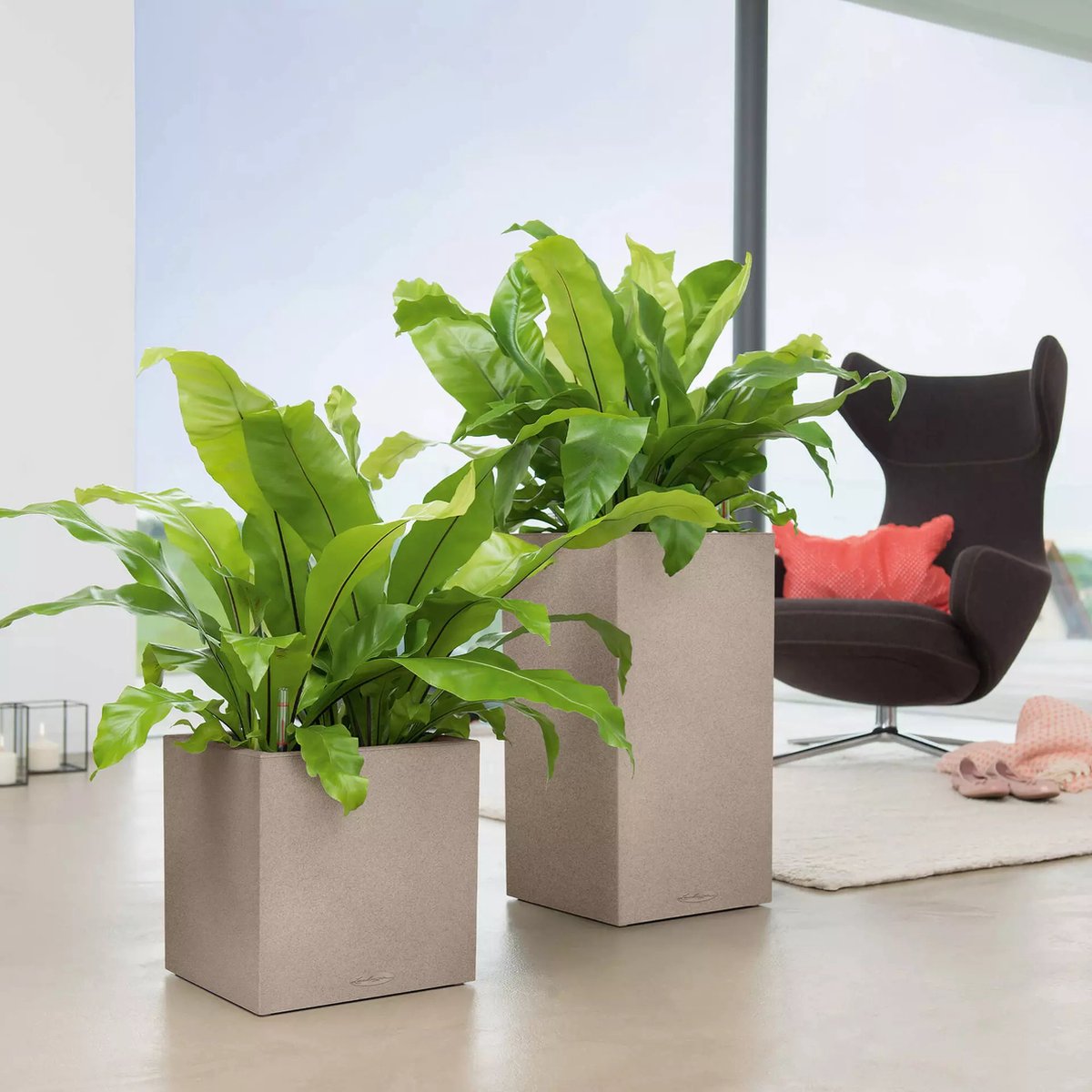 Lechuza Canto Stone 30 high - Planter - with removable inner pot