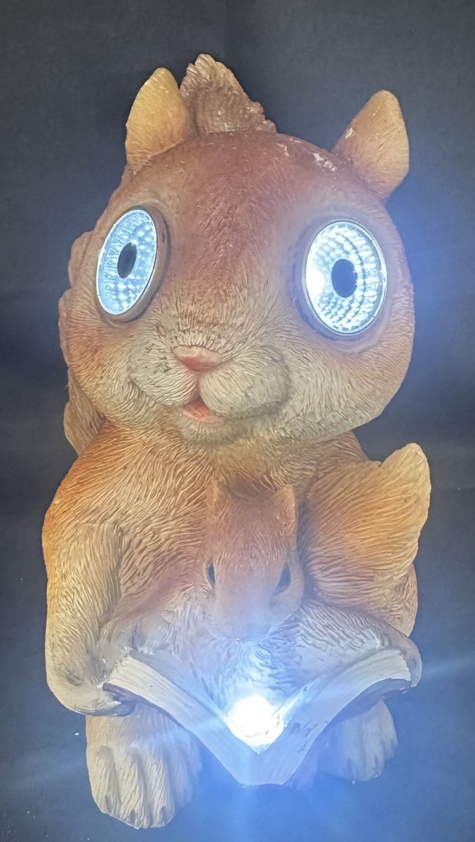 Impuls Polyresin solarlamp Eekhoorns met boek meerkleurig met 1 LED staand model hoogte 16 x 14 x 10 cm Tuindecoratie Tuinverlichting