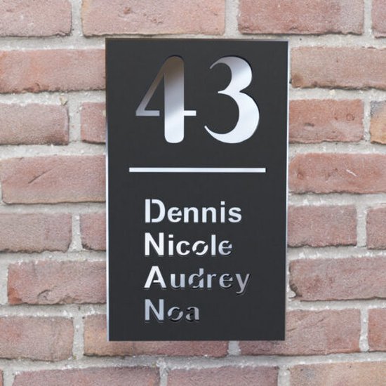 Plaque signalétique de porte d'entrée - Plaque d'immatriculation de maison - Rectangle debout - 25x15 - noir/argent