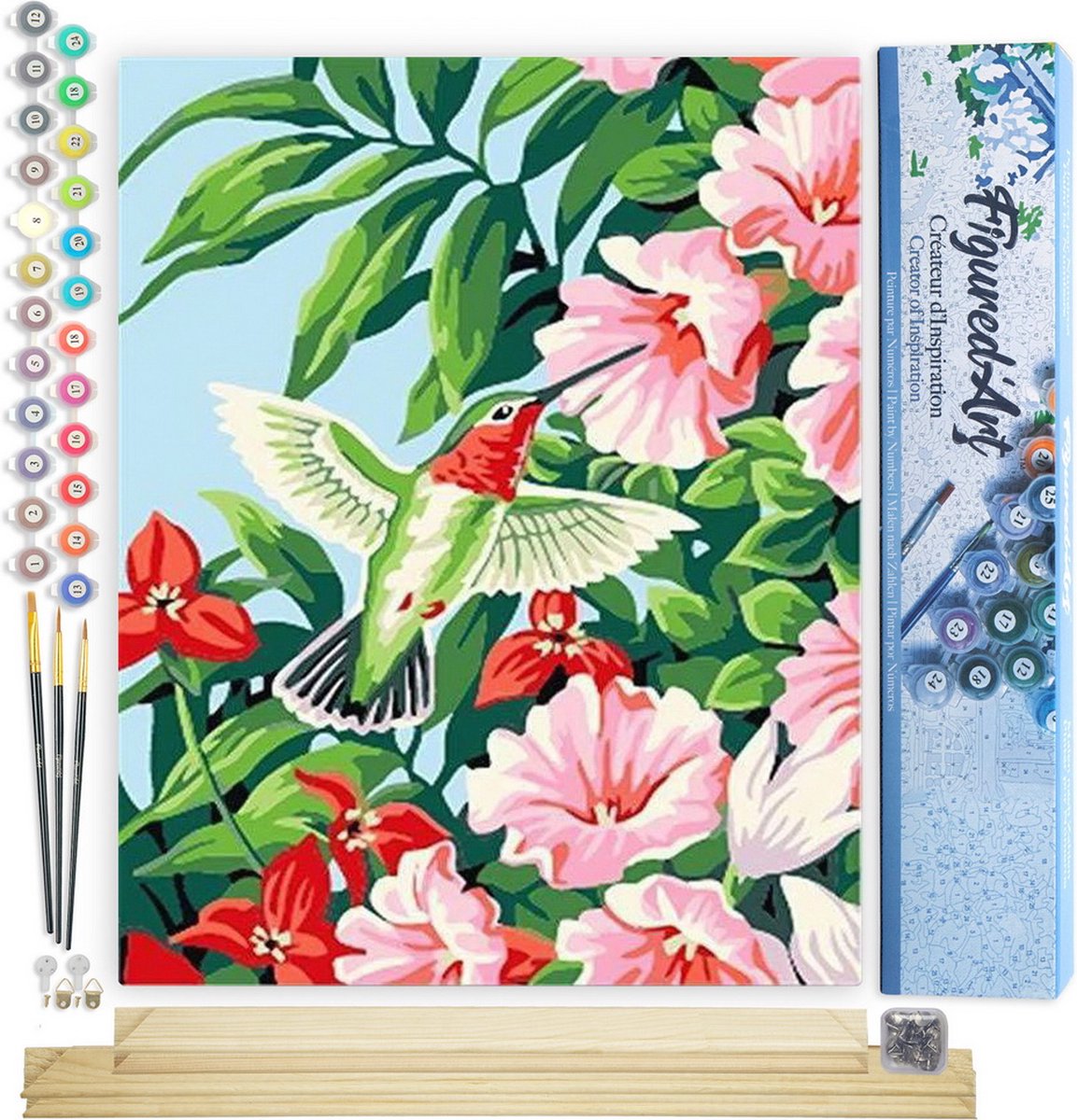 Figured'Art Schilderen op Nummer Volwassenen canvas Kolibrie in de bloemen - Handwerk acrylverf Kit DIY Compleet - 40x50cm met DIY houten lijst