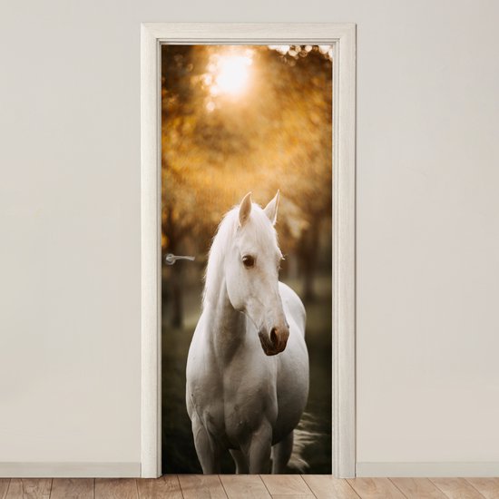 Affiche de porte - Cheval - Enfants - Automne - Animaux - Nature - Chambre d'enfant - Sticker de porte - Papier peint photo porte - Décoration de porte - Sticker autocollant - 80x205 cm - Chambre à coucher - Décoration de chambre