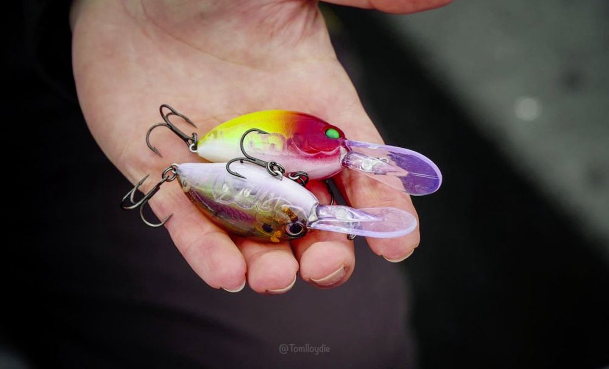 Quantum Q Crank Fat Minnow DR 6.5cm 11g (diepte 3-4m) - Kleur : Real Shiner