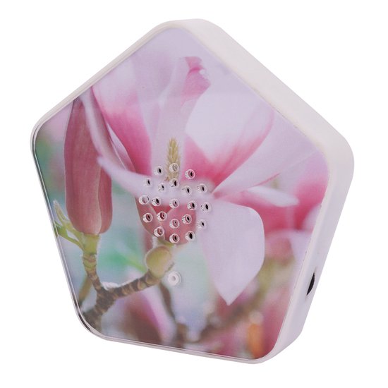 Olymp Sounds of Nature Box met een close-up van een roze magnoliabloem, inclusief speaker grille.