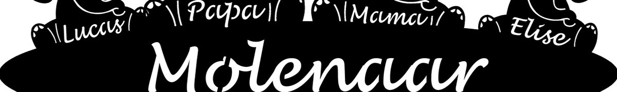 Gepersonaliseerde houten olifanten familie - geboorte - kraam cadeau - naambord - 38x18cm - Zwart