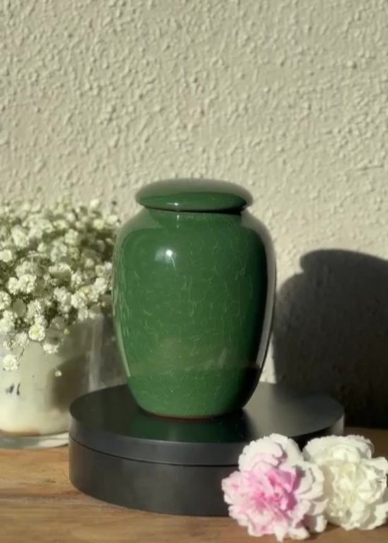 Luxe Begrafenis Urn 200 ML - Crematie Urn - Uniek - Voor Huisdieren of Menselijk As - Crematie As - Mini Urn - Decoratie Urn - Groen