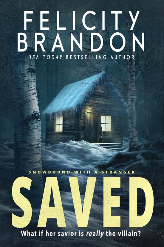 Snowbound with a Stranger 1 - Saved