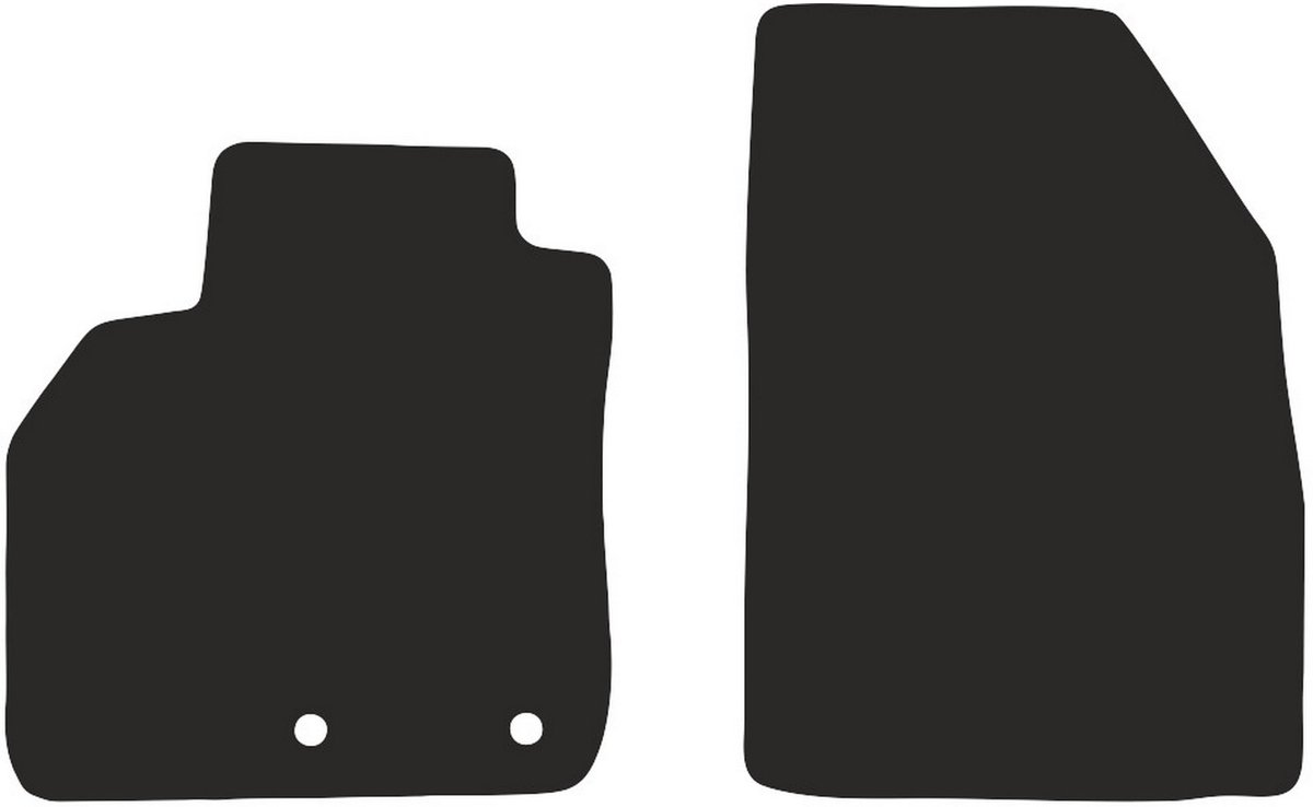 BASIC voorzijde voor: Renault Scenic III minivan 2009-2016