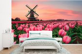 Behang - Fotobehang Tulpen - Molen - Nederland - Breedte 350 cm x hoogte 260 cm