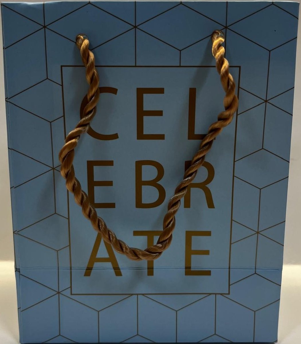 Hallmark Papieren luxe Gift bag small 10x - Blauw celebrate - 15 x 12,5 x 7,5 cm