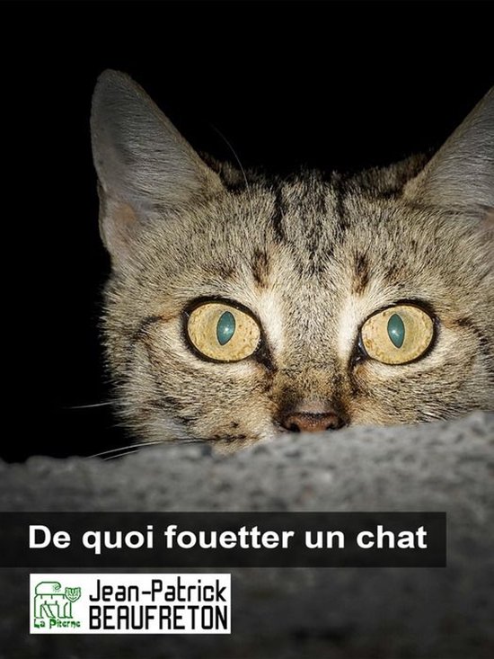 Nouvelle plume - De quoi fouetter un chat - cover