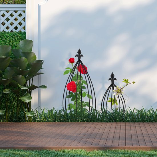 Twee zwarte metalen plantenrekken met rode rozen en passiebloem op een terras.