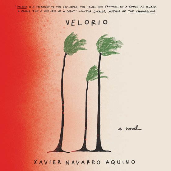 Velorio - cover