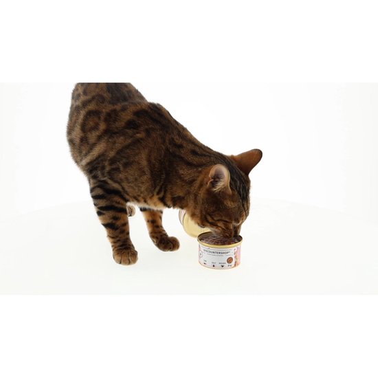 Kattenvoer Tonijn in Jelly – 24x85g – 51% Tonijn & Rijst – Natuurlijk Natvoer voor Katten in Blik – Sappige Kattenvoeding Zonder Toevoegingen