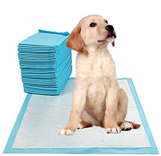 Hondentoilet - Trainingspad - Zindelijk Maken - 60x90 cm - Blauw - 20 Stuks