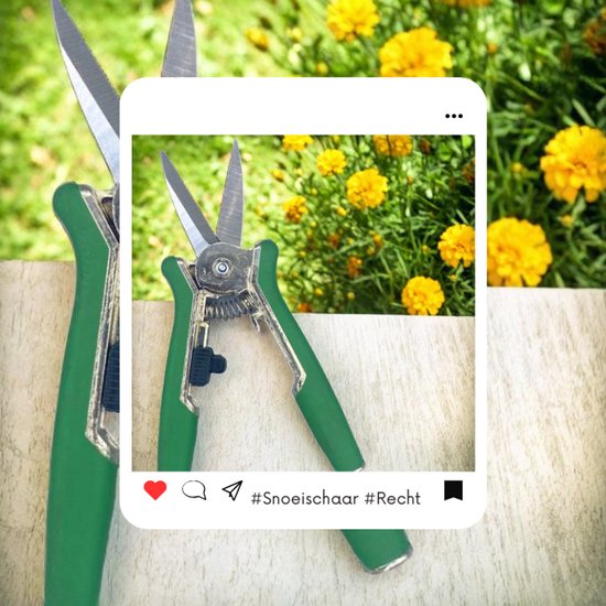 S4D® - Bloemschaar - Snoeischaar - Recht - 15 CM van S4D — afbeelding 4