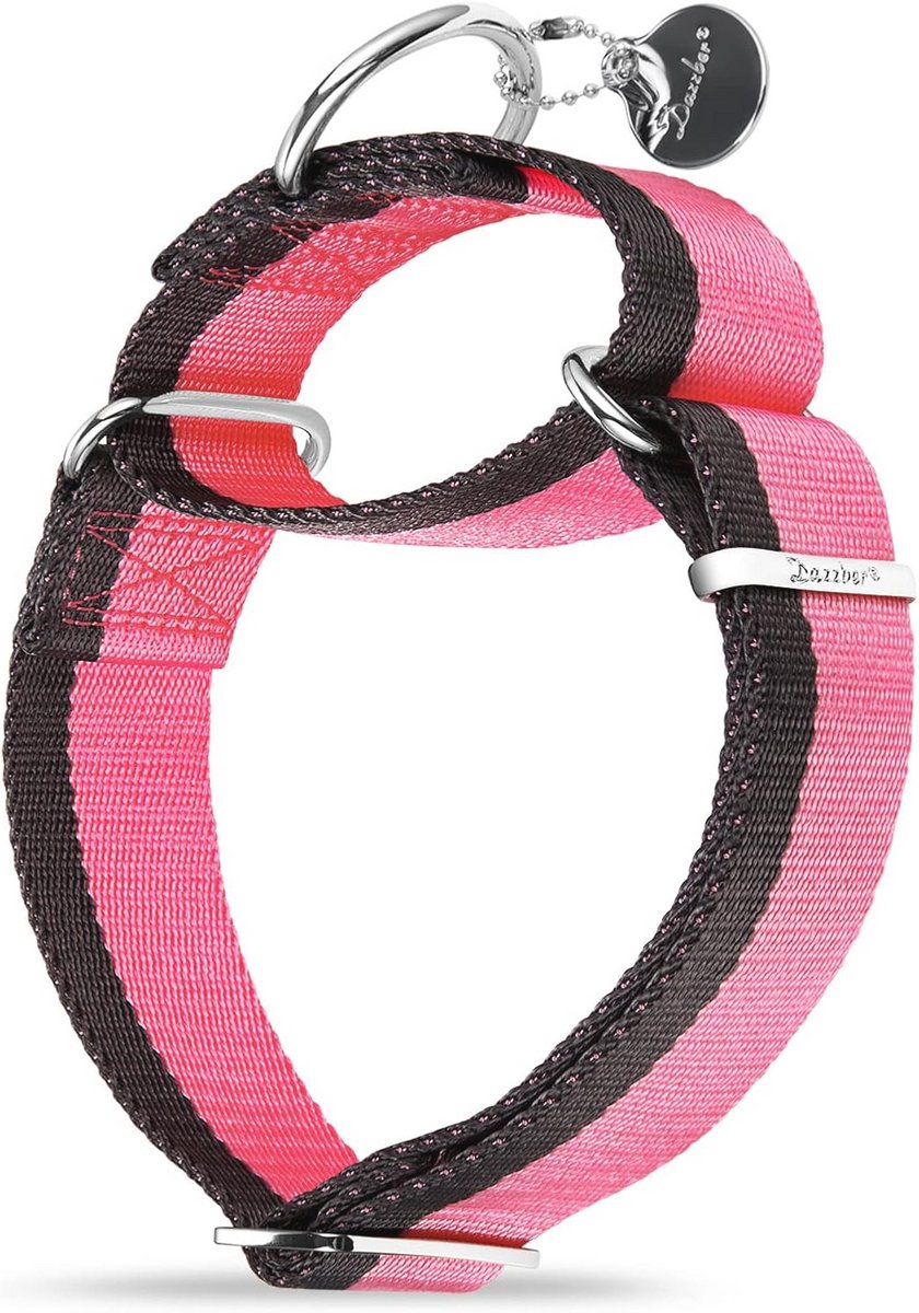 Reflecterende nylon hondenriem - Heavy duty touw - Veilig slot voor kleine, middelgrote en grote honden
