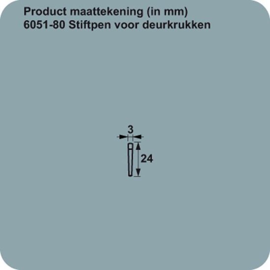 Axa Stiftpen Deurkruk 6051-80-22