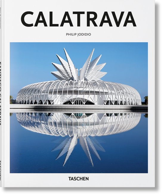 Basic Art- Calatrava