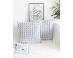 Zilvergrijze Kussenhoes 50x50 Set Van 2 Pluizige Knuffelkussens Pluche Kussenhoezen Decoratief Zacht Bont Kussensloop Luxe Bankkussen Bierkant Sierkussen