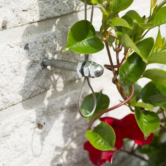 Nature - Spandraadsysteem voor klimplanten - 10m - verzinkte kabel - spandraad