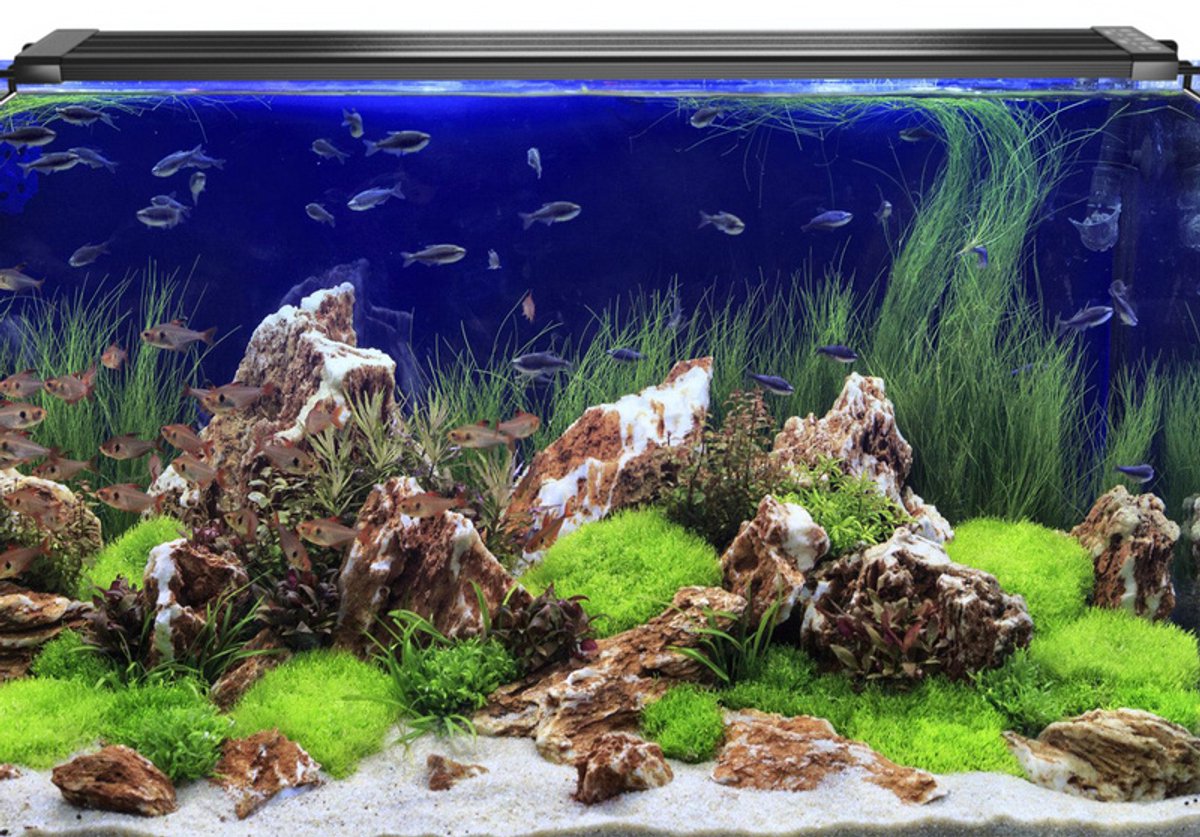 LED Aquariumlamp 18W - Dimbaar, RGB, Timer, 50,5 cm thumbnail 3