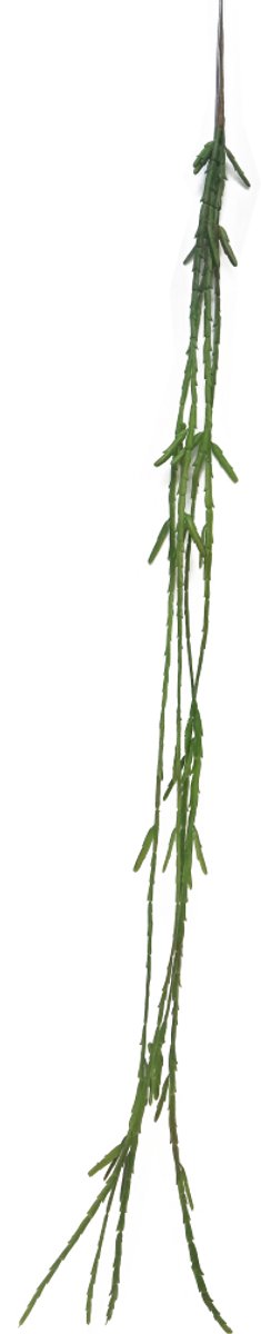 Nova nature - Cactus Lia hanger green 107 cm (S) kunstbloem
