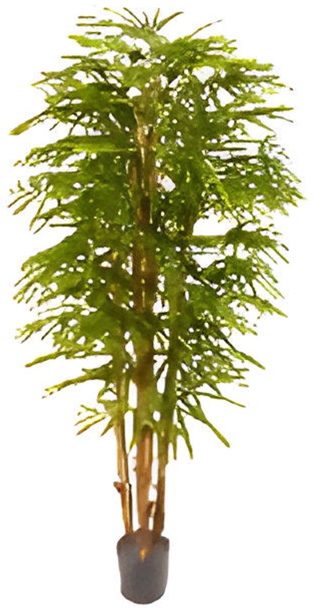 Oosterik home - Rapis palm 180 cm kunstplant Oosterik Home