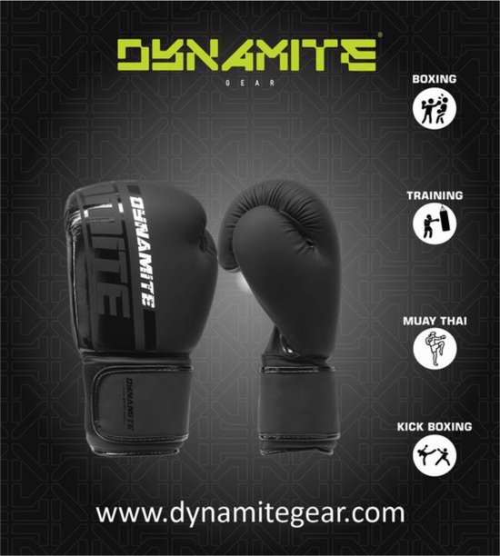 Gants de boxe Dynamite Kickboxing - Cuir synthétique 10 OZ