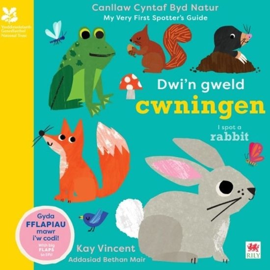 Dwi'n Gweld Cwningen / I Spot a Rabbit - cover