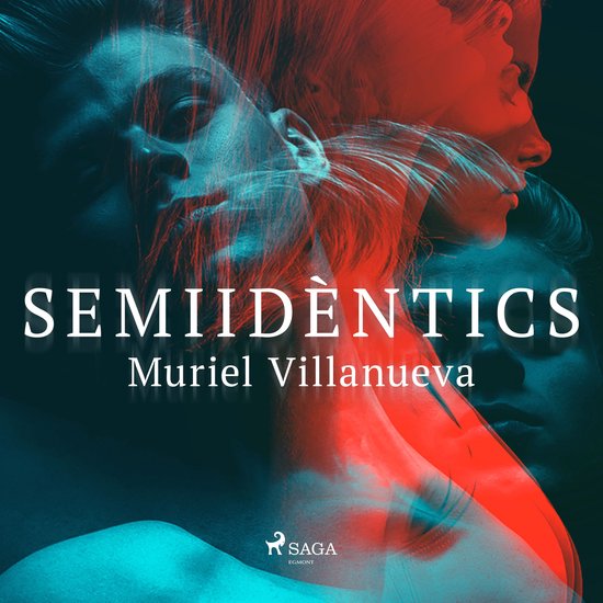 Semiidèntics - cover