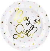 Gender Reveal Borden 23cm 6 stuks |babyshower Boy or Girl?