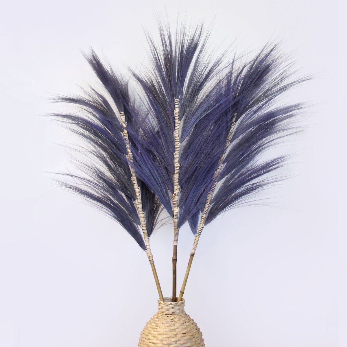 Rayung Gras Pluimen Blauw - 3 Stuks - Decoratieve Pluimen - 1.6m - Handgemaakt