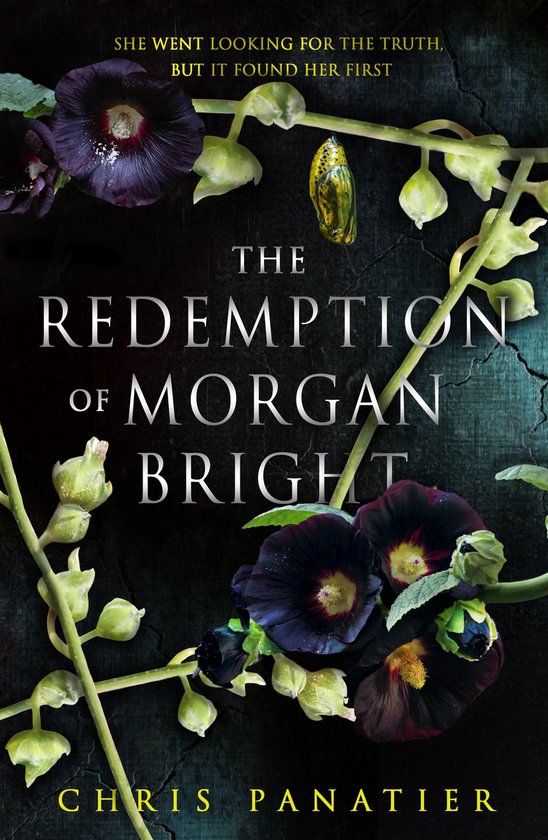 The Redemption of Morgan Bright - cover