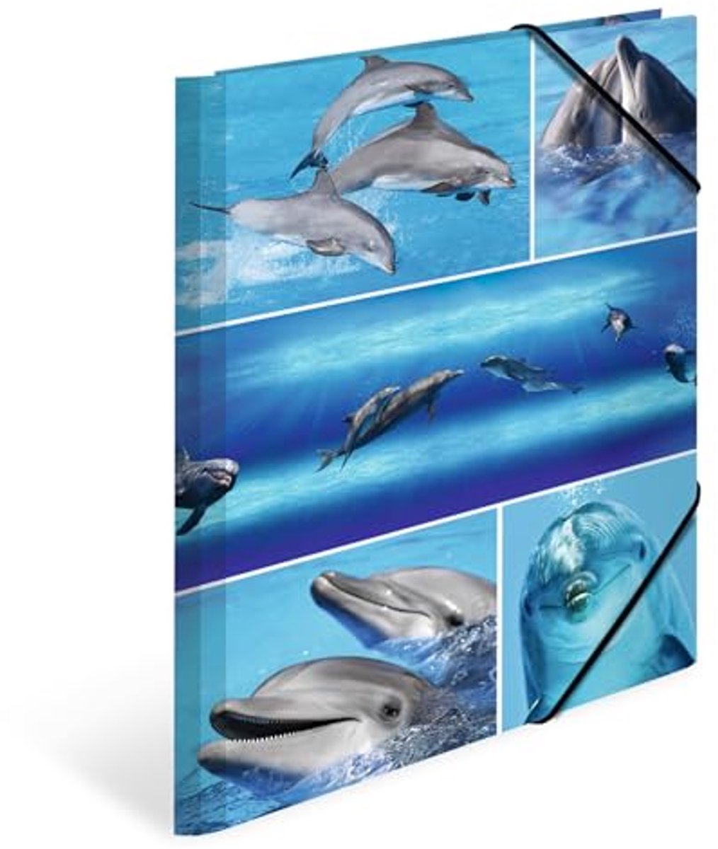 HERMA mappen A4 dolfijnen set, 3-delig, kinderhoekmappen van karton met dierenmotief, elastische band, binnenkleppen en binnenprint voor jongens en meisjes